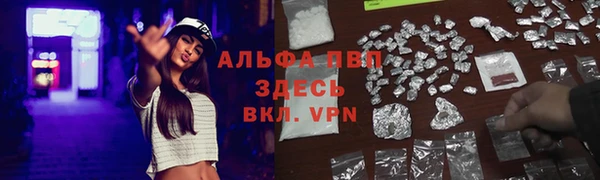 тгк Магадан