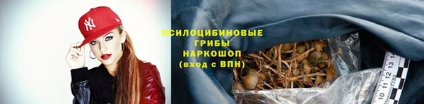 крисы Магас