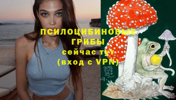 крисы Магас