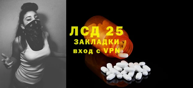 крисы Магас