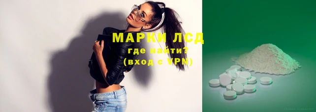 крисы Магас