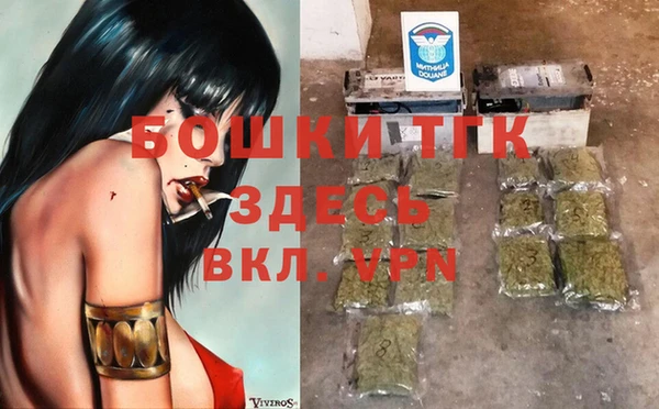 Альфа ПВП Мегион