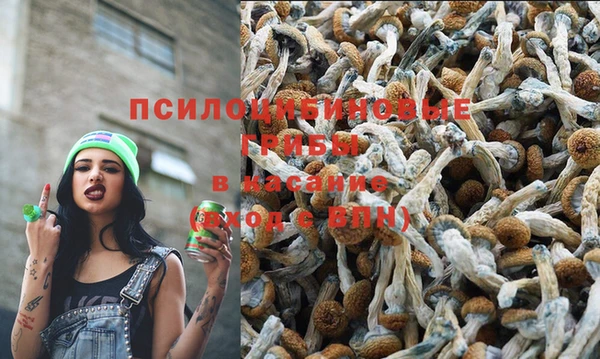 скорость Майский