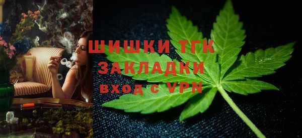 Альфа ПВП Мегион