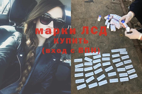 крисы Магас