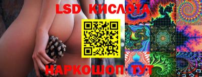 ГАЛЛЮЦИНОГЕННЫЕ ГРИБЫ Берёзовский