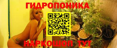 скорость Будённовск