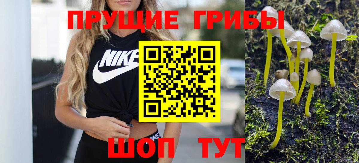 Псилоцибиновые грибы прущие грибы Дмитров