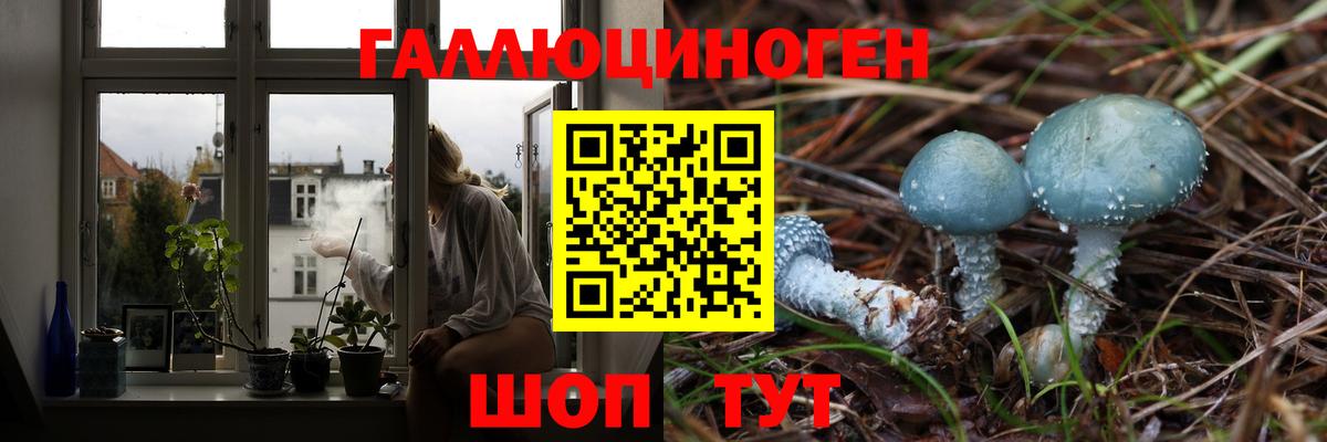 Дмитров  Галлюциногенные грибы прущие грибы  Вход с VPN 