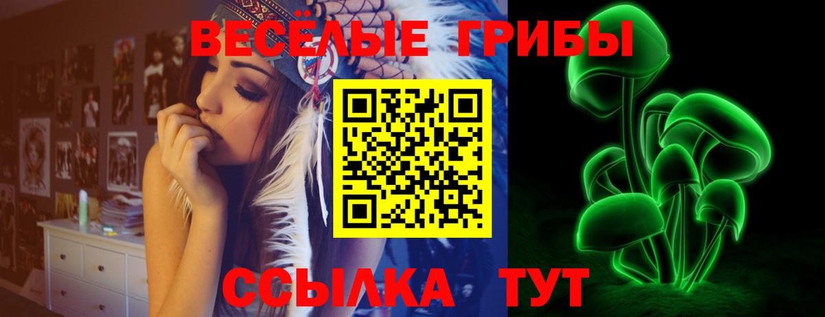 Галлюциногенные грибы Magic Shrooms  Дмитров  Галлюциногенные грибы Cubensis 